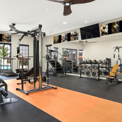 a gym with treadmills